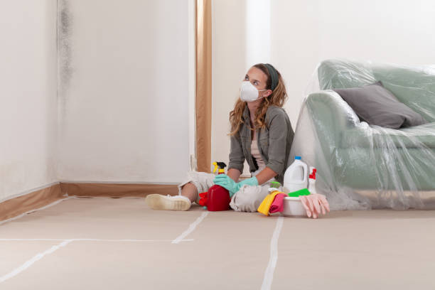 Reliable Commercial Mold Remediation contractor in Ferndale, PA by WQB Mold Removal